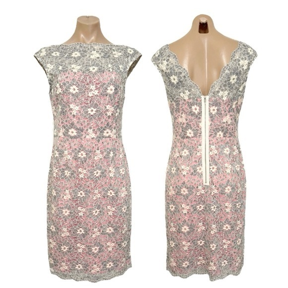 😍 MAGGY LONDON PINK GRAY SOFT WHITE ILLUSION SCALLOPED LACE SHEATH DRESS 8 NWT - Picture 2 of 9